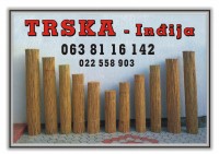Trska.jpg