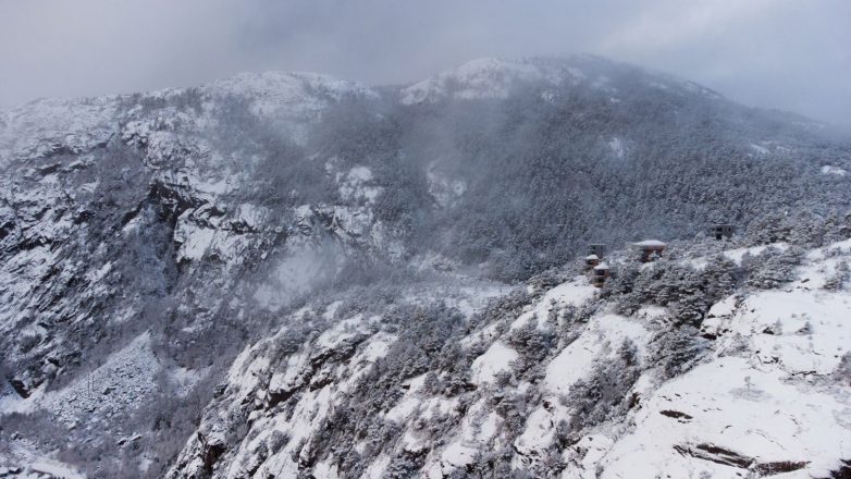 Foto: Elin Engelsvoll