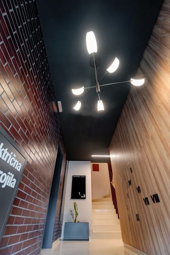 Foto: Nemanja Mandić