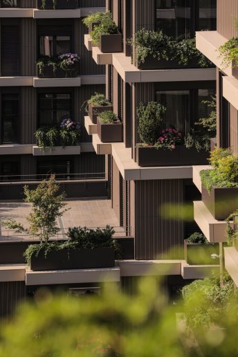 Biljke penjačice oplemenile su fasadu; Foto: Jure Živković