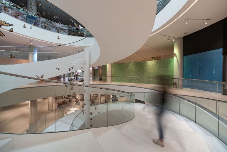 Foto: César Belio/ Mariola Soberon