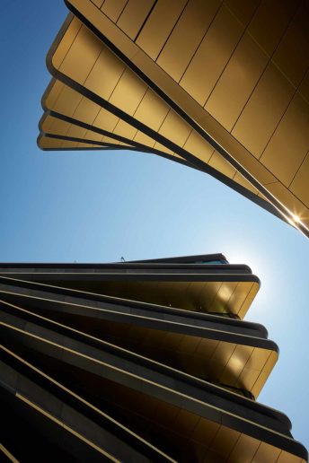 Foto: Boys play nice