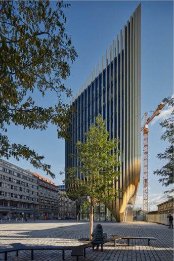 Foto: Boys play nice