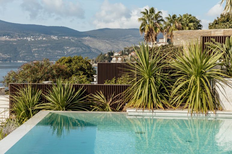 Foto: Miloš Samardžić