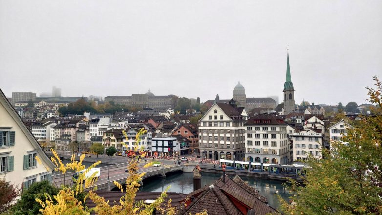 Cirih; Foto: Jovan Bajić