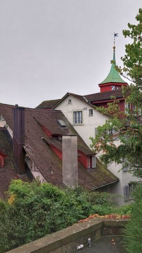 Cirih; Foto: Jovan Bajić