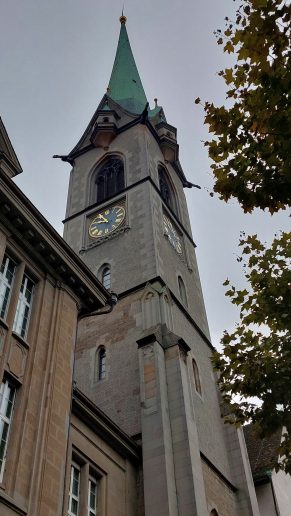 Cirih; Foto: Jovan Bajić