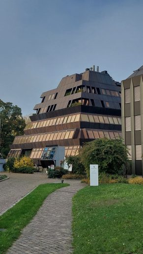 Cirih; Foto: Jovan Bajić