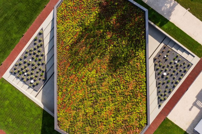 Foto: Marko Banić, reroot