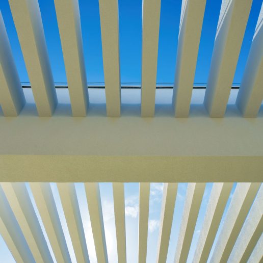 Foto: Miloš Martinović