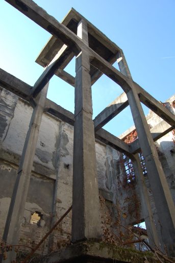 Foto: Vučeta Vujović