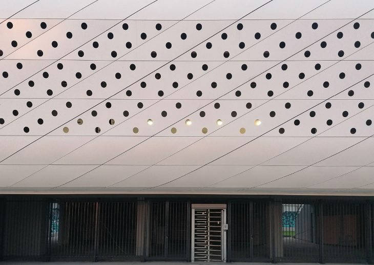 Foto: Borislav Petrović, Borislav Zdrinja