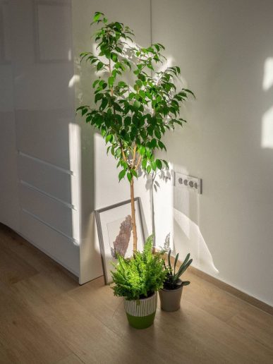 Foto: Milan Stojanović