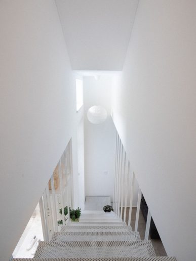 Foto: Milan Stojanović