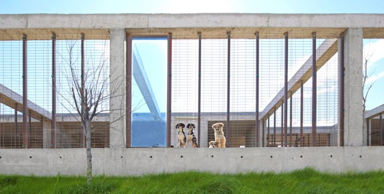 Foto: Zeren Yasa, Mehmet Yasa