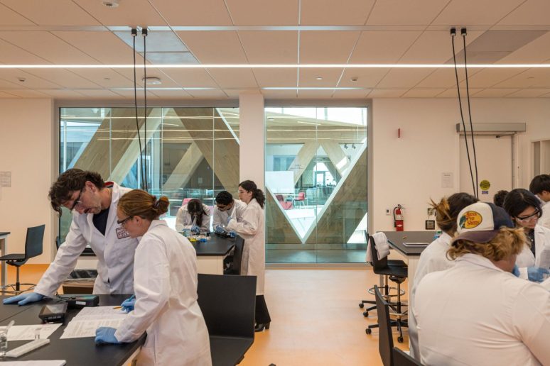 Foto: Laurian Ghinitolu