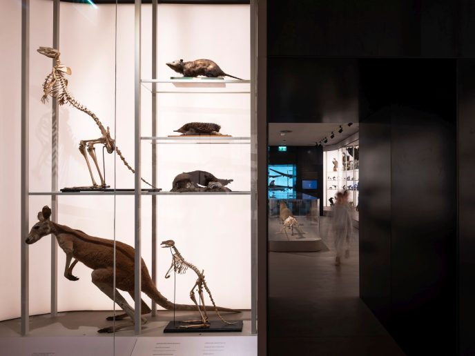 Foto: Ljubaznošću studija Radionica arhitekture