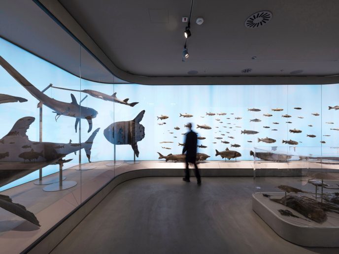 Foto: Ljubaznošću studija Radionica arhitekture